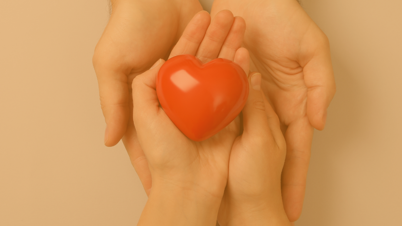 dia mundial de las ongs